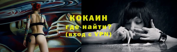 молекула духа Белокуриха