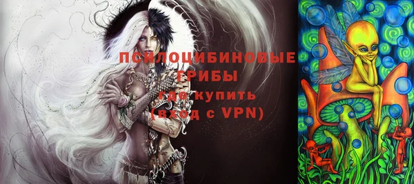 молекула духа Белокуриха