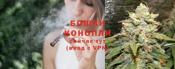 спайс Покачи