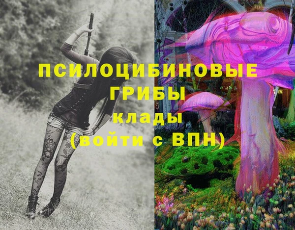 молекула духа Белокуриха